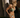 Velvet Mint - Rio Bottom