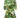 Babylon - Sienna Dress