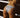 White Hidden - Havana Bottom