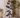 Origami - Palazzo Pants - Pre Order