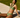 Sous Les Fleurs - Lyra Bikini Top