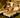 Ivory - Havana Bikini Bottom - Pre Order