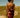 Burgundy - Barcelona Dress - Pre Order