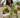 Babylon - Sienna Dress - Pre Order