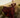 Burgundy - Calypso Dress - Pre Order