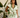 La Croisette - Ella Dress - Pre Order