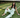 La Croisette - Positano Pants - Pre Order