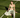 La Croisette - Positano Pants - Pre Order