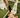 La Croisette - Positano Pants - Pre Order