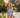 RAVELLO ONE PIECE - AMALFI - PRE-ORDER