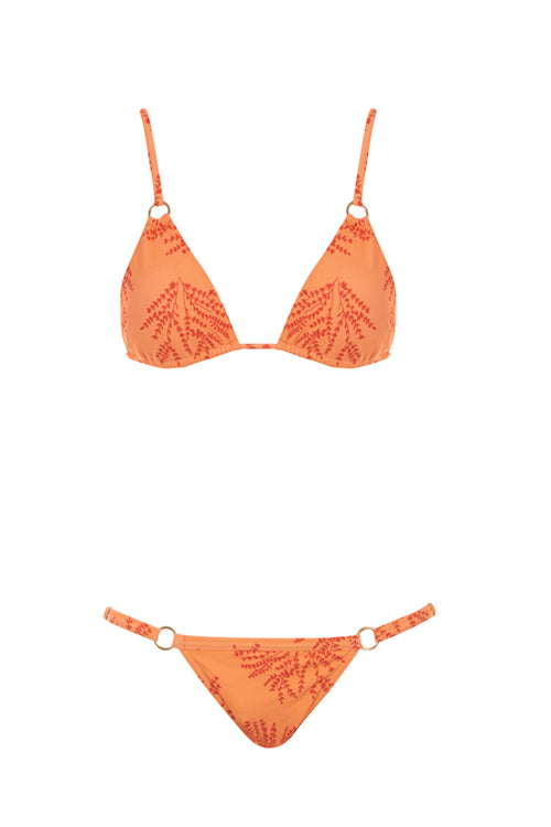 Coral Fern- Havana Bikini Top