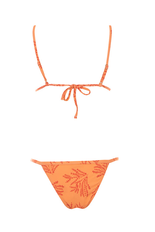 Coral Fern - Havana Bikini Bottom