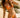 Coral Fern- Havana Bikini Top