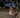 Pearl - Maria Shorts - Pre Order