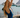 Amy Ayanda Hidden Blooms  - Aries One Piece
