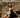 Amy Ayanda Hidden Blooms - Scorpio Bikini Bottoms