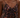 Ember - Ruched Camisole - Pre Order