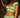 Spring - Broderie Anglaise Crop Top